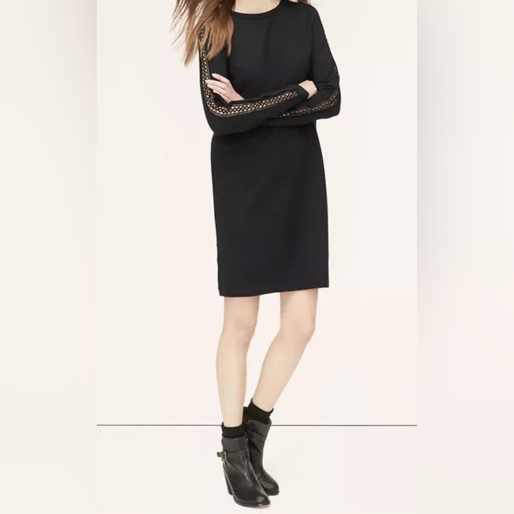 Ann Taylor LOFT Cotton Crochet Sleeve Sweatshirt Dress
